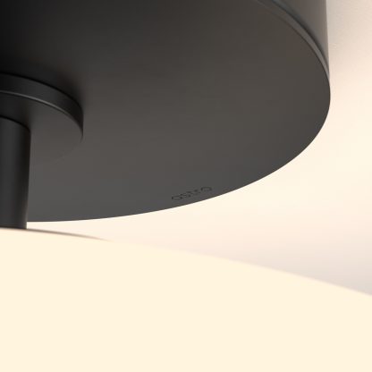 AS 1176001 ZEPPO CEILING - Image 6
