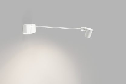 LPT 261670 FOCUS GALLERY