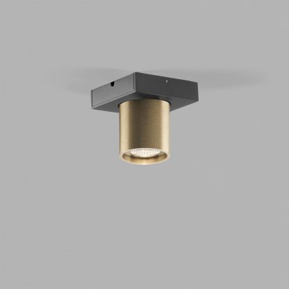 LPT FOCUS 1LT SPOTLIGHT - Image 4