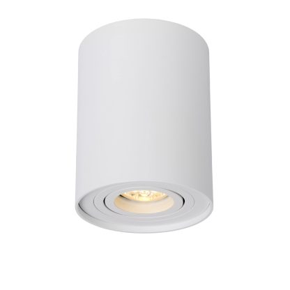 LU 22952-01 TUBE CEILING SPOT - Image 7