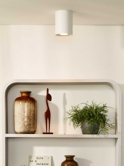 LU 22952-01 TUBE CEILING SPOT - Image 4