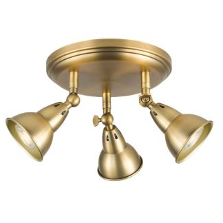 DR NAT7642 NATHANIEL 3LT SPOTLIGHT
