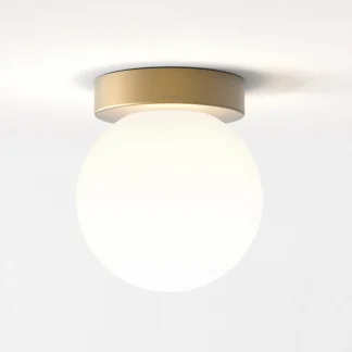 AS 1429028 TACOMA SURFACE EXCL SHADE